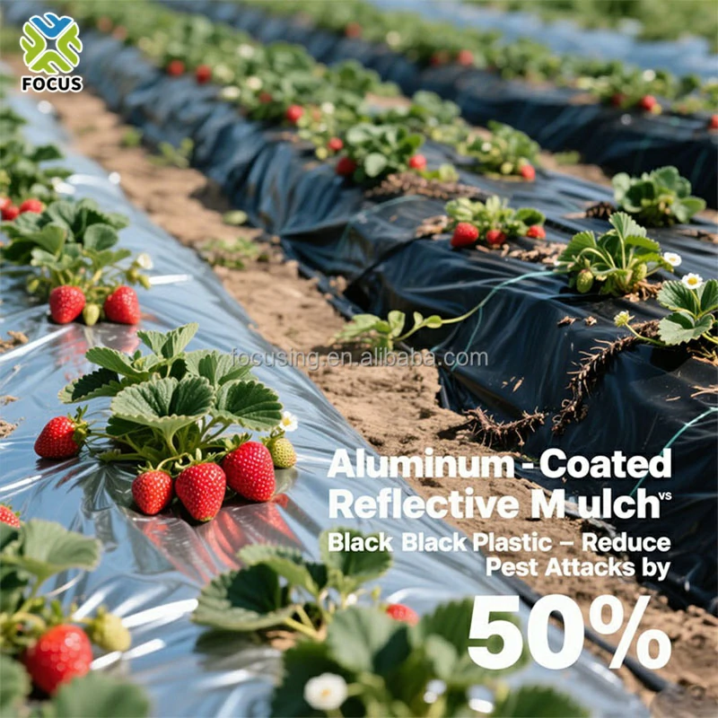 silver and black two color plastic mulch film thickened orchard moisturizing plastic film (复制) silver and black two color plastic mulch film thickened orchard moisturizing plastic film (复制)
