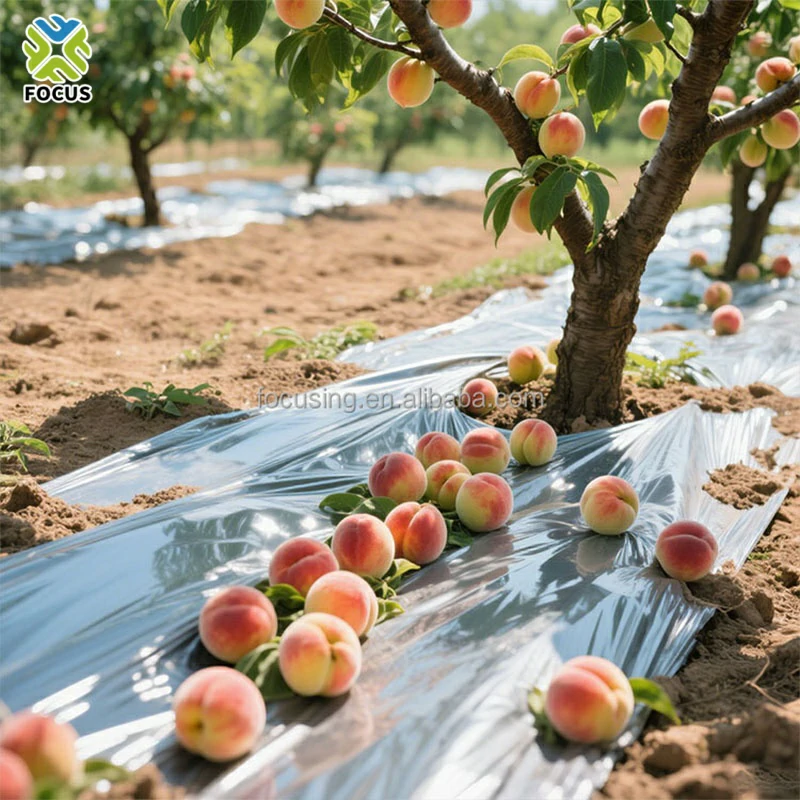 silver and black two color plastic mulch film thickened orchard moisturizing plastic film (复制) silver and black two color plastic mulch film thickened orchard moisturizing plastic film (复制)